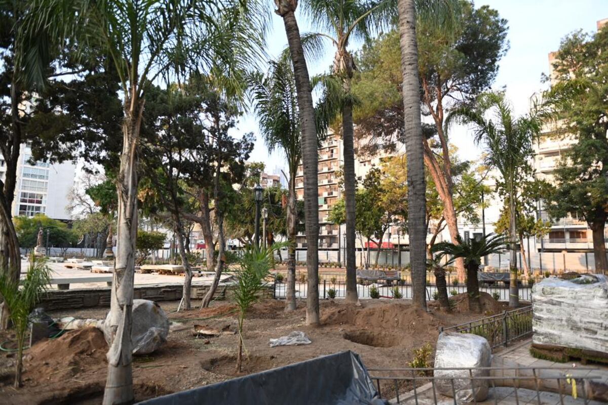 Así avanzan los trabajos de remodelación de la Plaza Colón. La Municipalidad dio a conocer nuevas imágenes de este martes y la colocación de unos 40 árboles de gran porte. (Municipalidad de Córdoba)