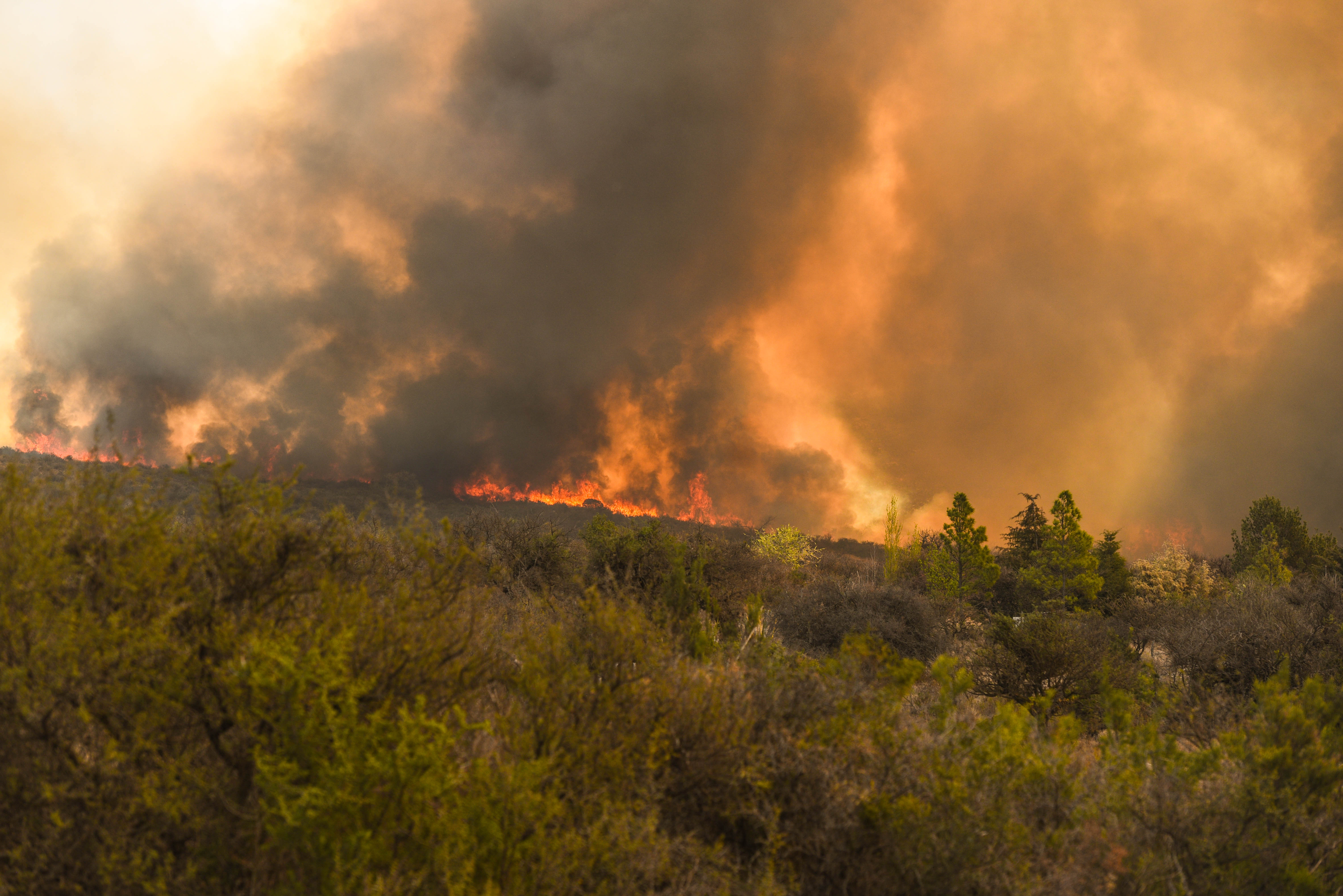 Incendios de monte y campos en la zona de San Esteban, este año (La Voz)