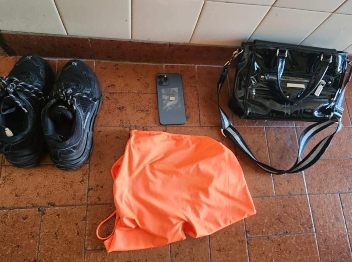 Detuvieron a una mujer acusada de delinquir. (PFA)