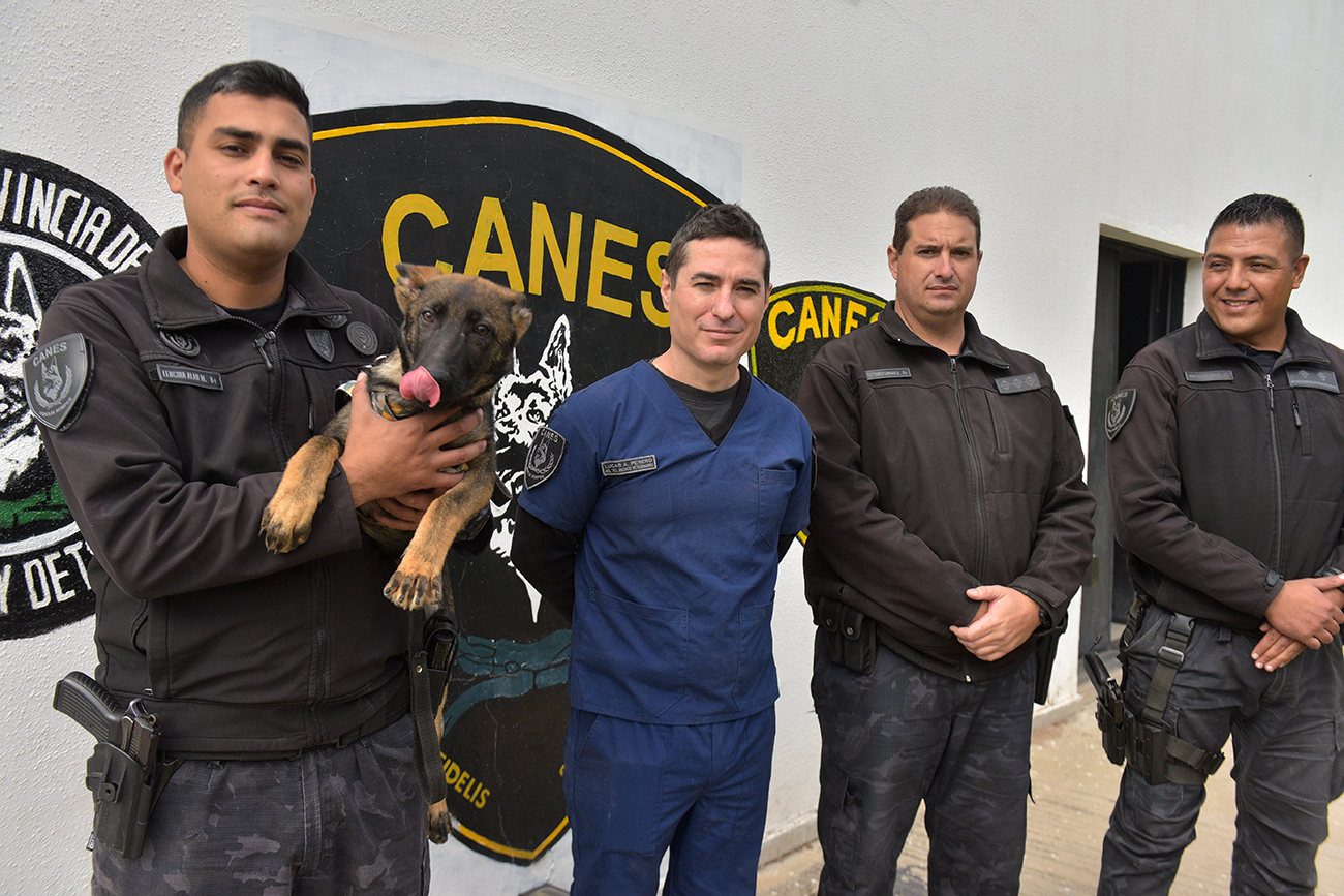De derecha a izquierda: Oficial Sub Inspector Lencina (Jefe del Equipo de Adiestramiento), Agente Técnico Veterinario Lucas Perero, Carlos Cattaneo (Segundo Jefe de la División Canes) y Comisario Germán Rivero (Jefe de la División Canes). (José Gabriel Hernández / La Voz)