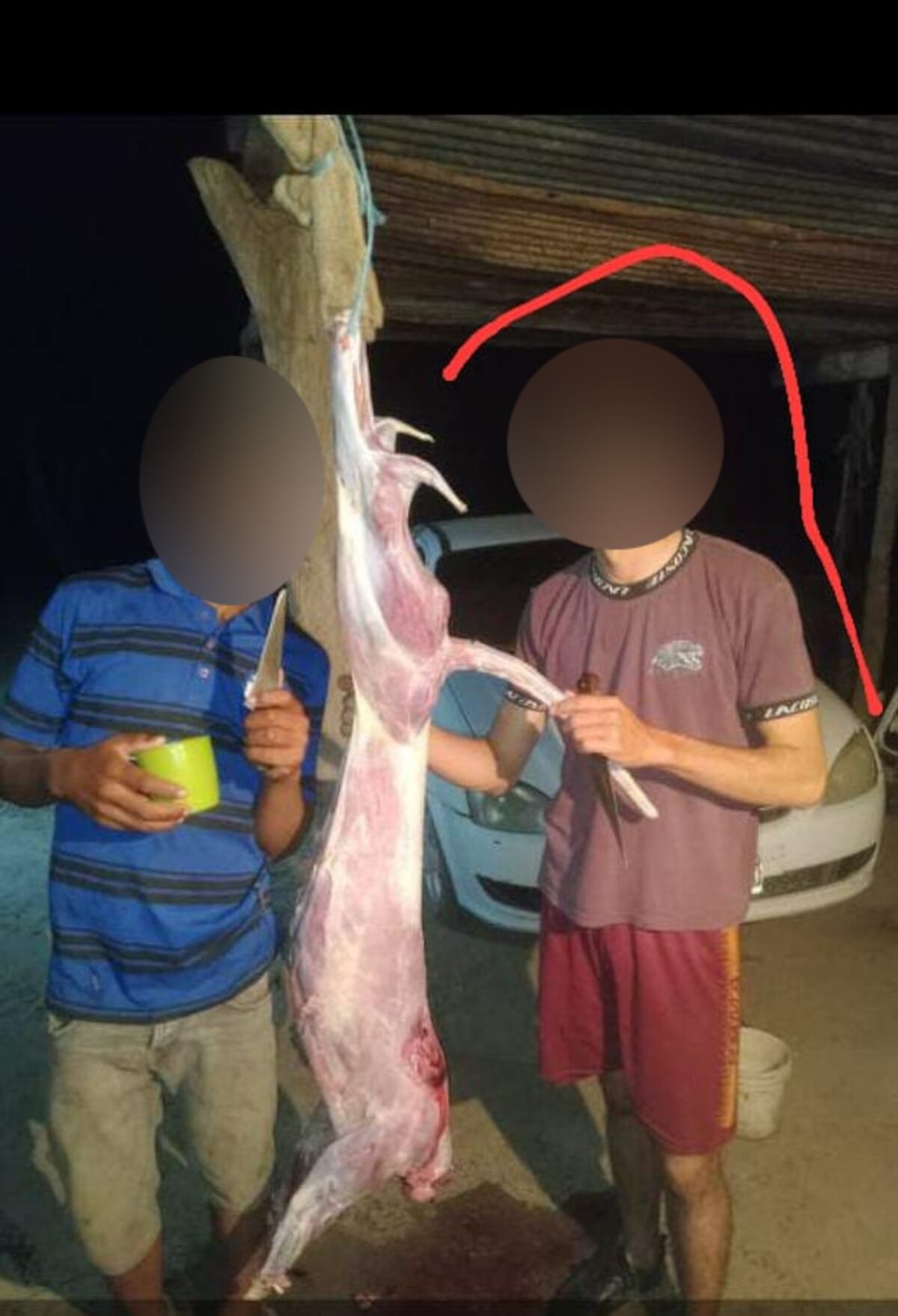 Chaco: cazaron un puma, difundieron las fotos por WhatsApp y terminaron allanados. (Gentileza Infobae)