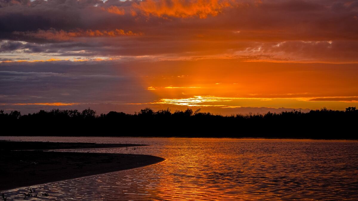 Imágenes preciosas del Delta del Paraná, en Entre Ríos. (Foto: Agencia Télam)