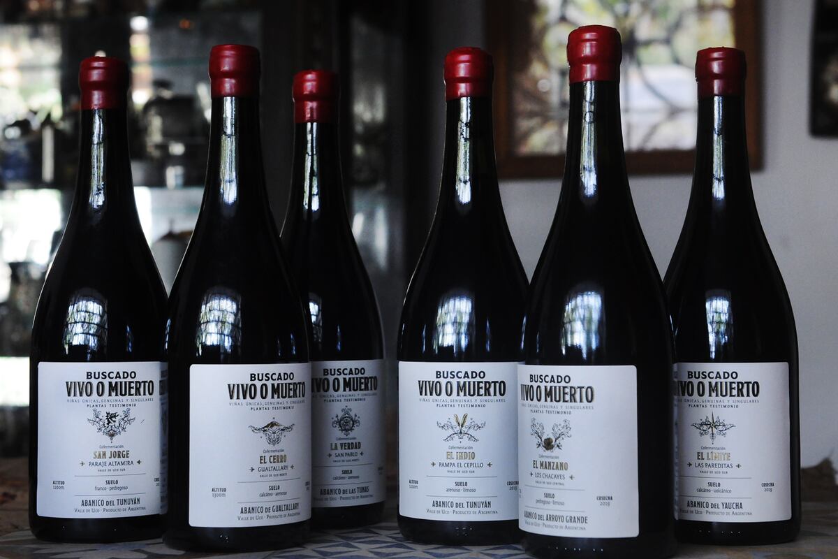 1-Vinos, variedades que merecen ser probadas (Javier Ferreyra).