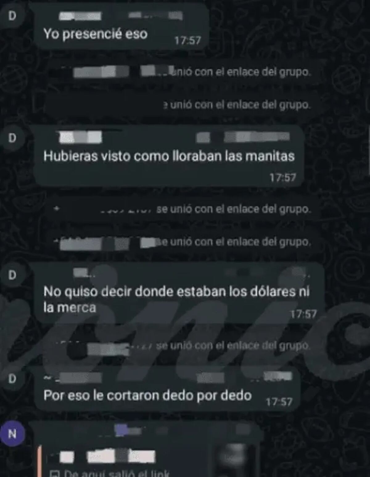 Mensajes de WhatsApp que aparentas er de un testigo del vivo donde torturaron a las tres jóvenes asesinadas en Florencio Varela. (crónica)