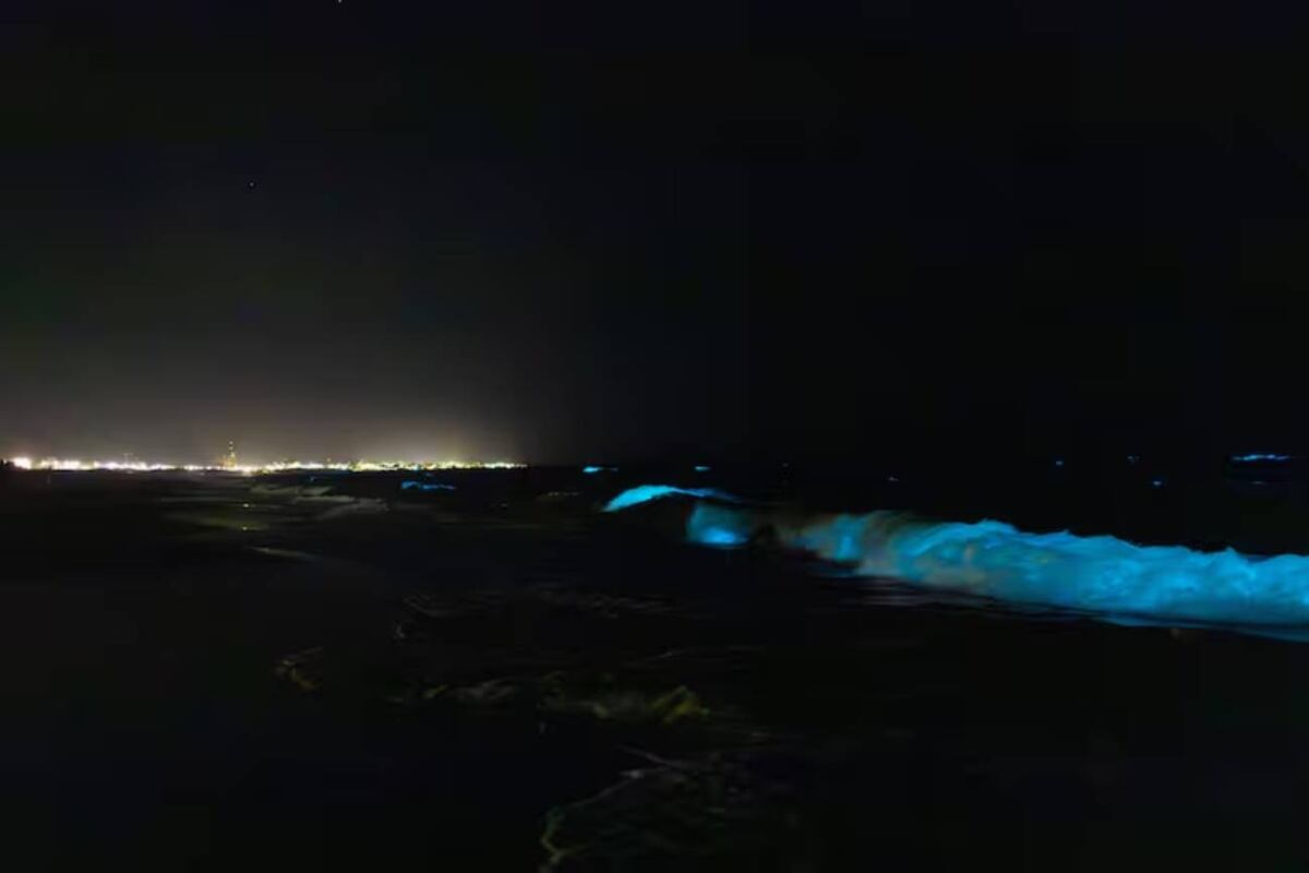 Un fenómeno fosforescente en el mar llamó la atención de los turistas. (Foto: Pilar Camacho)