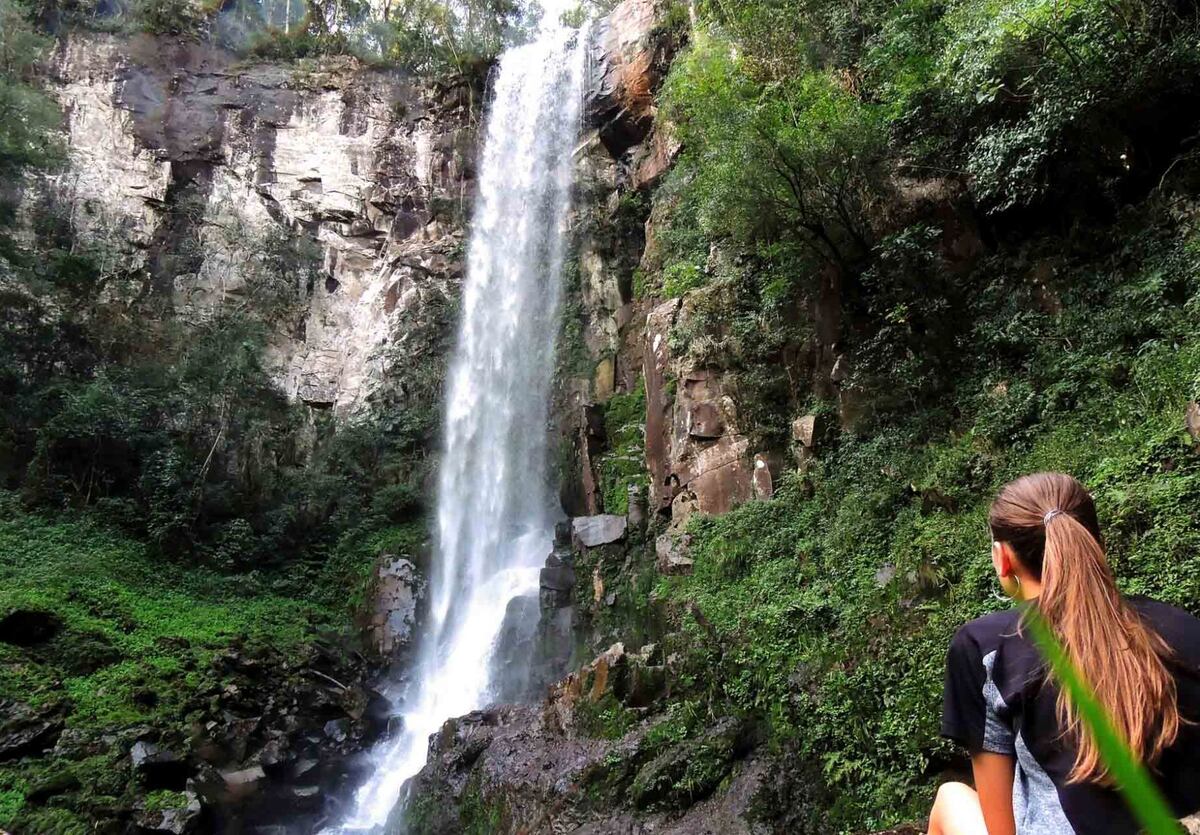 Esta reserva tiene una de las cascadas más bellas de la región, llamada Salto Encantado. (Gentileza: La Ruta Natural)