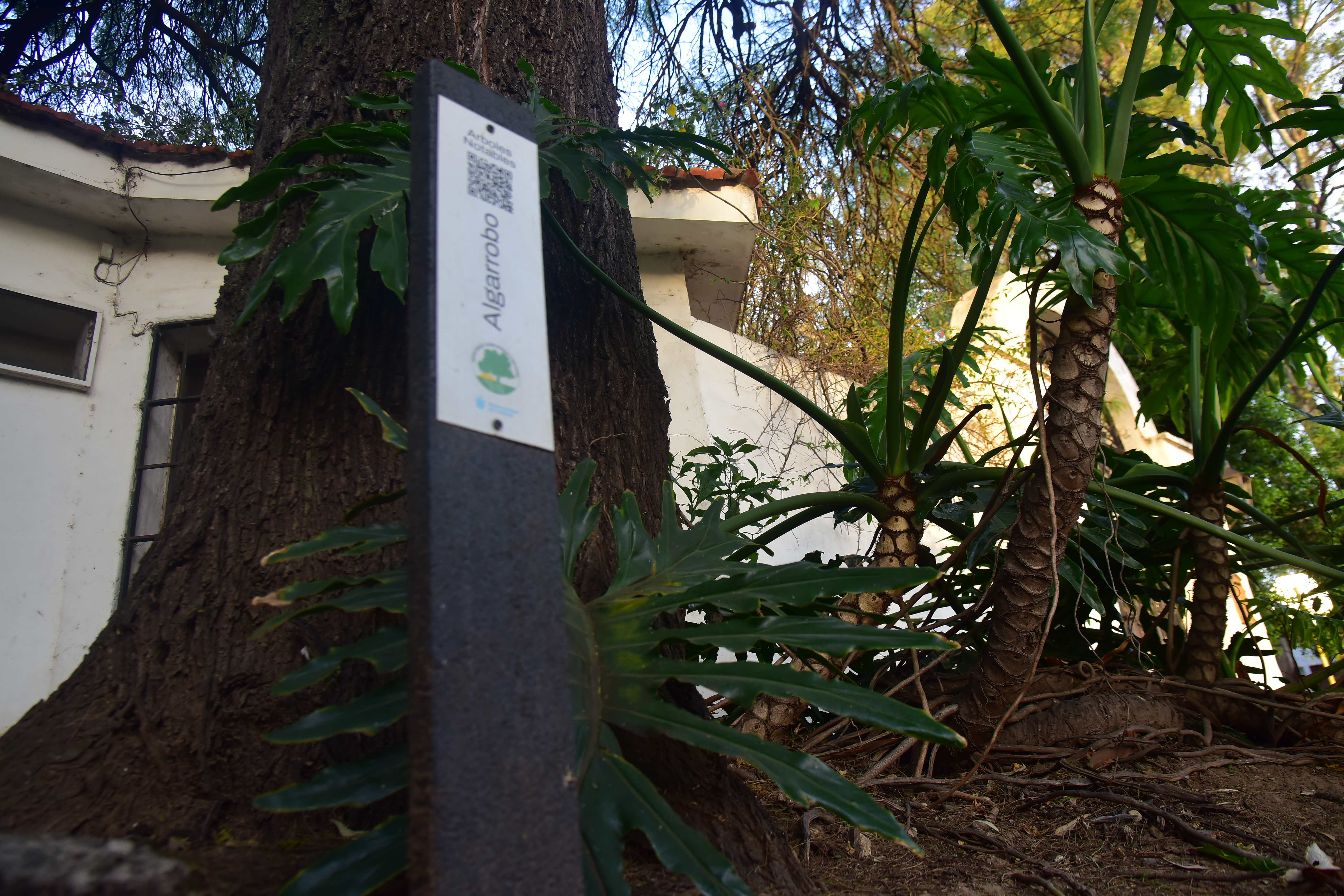 Un grupo de vecinos de barrio Jardín Espinosa en zona sur de la ciudad se quejan de un amparo que no les permite vender sus casas por una prohibición de demoler o construir. (Javier Ferreyra / La Voz)