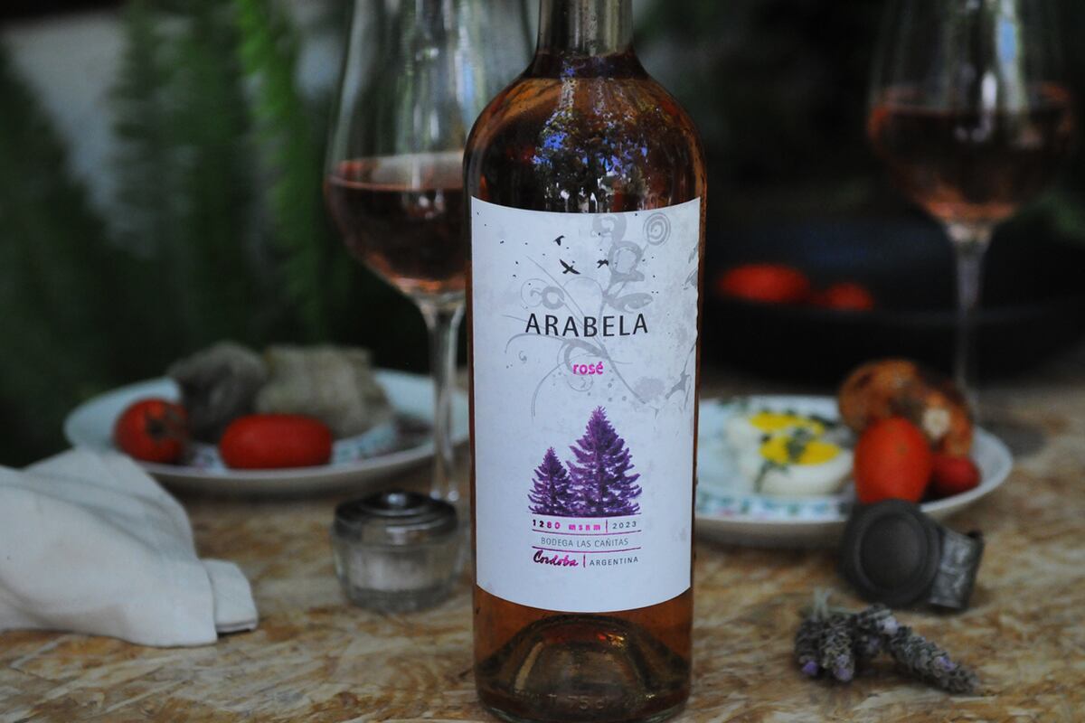 Arabela Rosé Bodega Las Cañitas 2023 Córdoba (Javier Ferreyra).