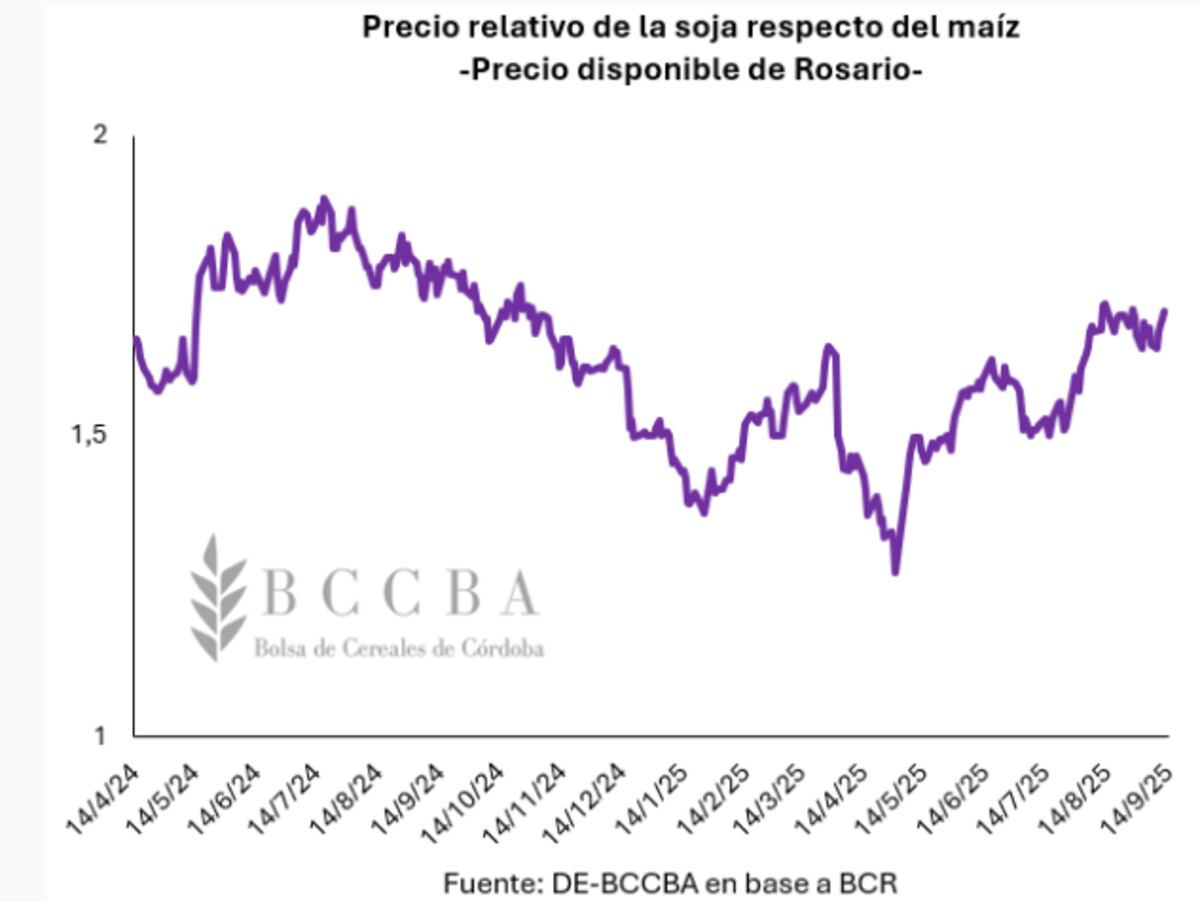 (Gentileza BCCBA)