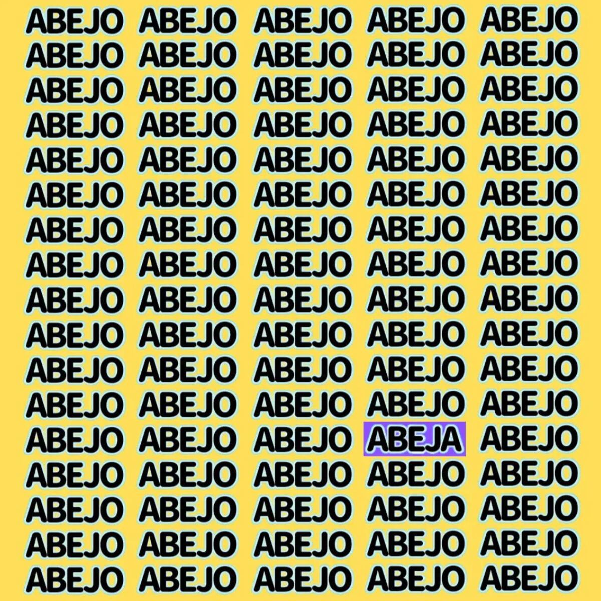 La solución del acertijo.