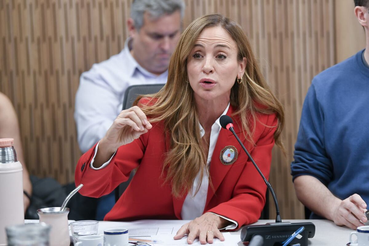 La diputada Victoria Tolosa Paz en la Comisión de Discapacidad (Foto: HCDN)