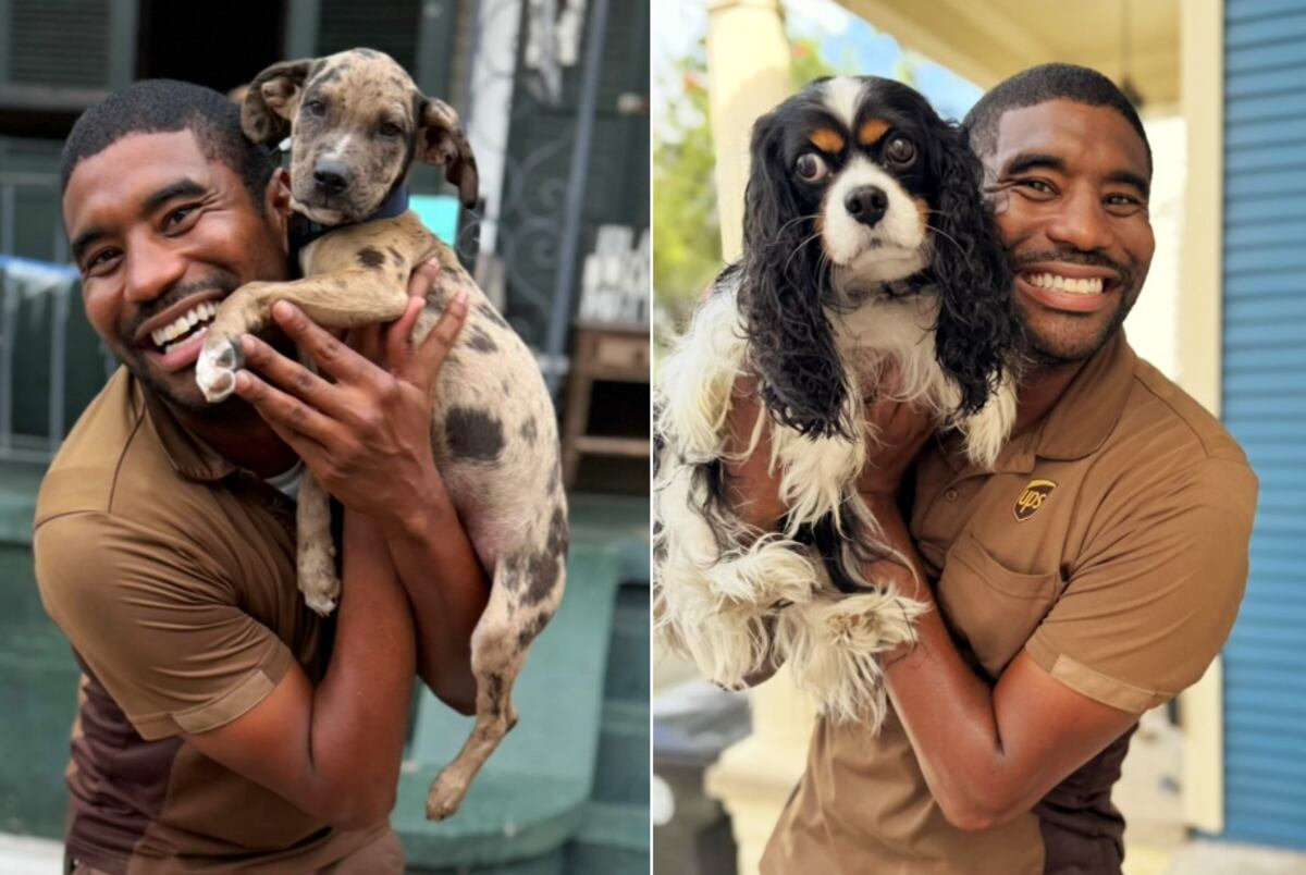 Se saca fotos con perros.