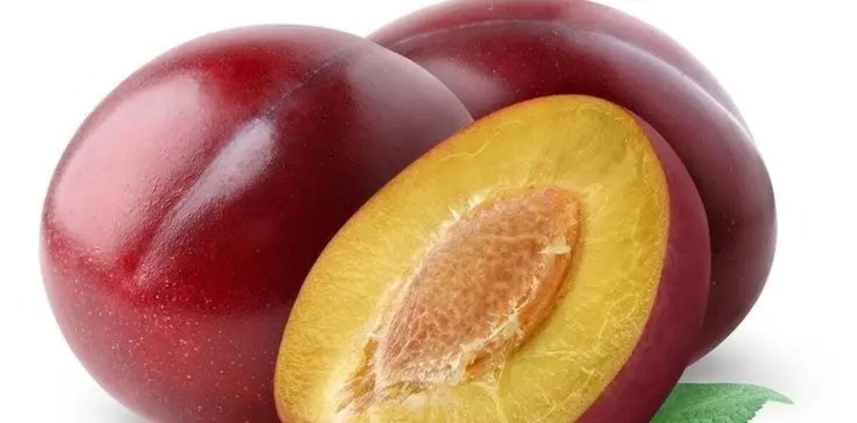 No tires el carozo de la ciruela: por qué conviene guardarlo y cómo convertirlo en un árbol frutal