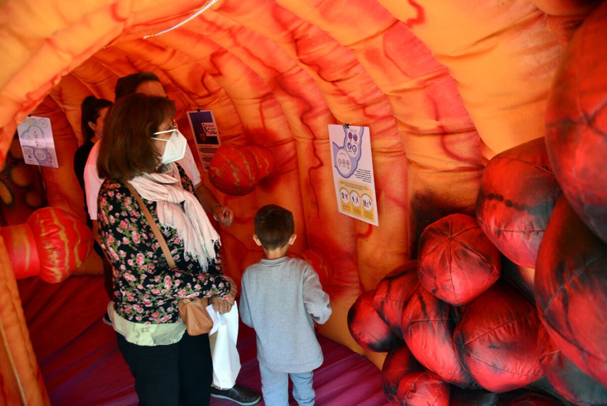 La maqueta del colon lucirá en forma de túnel a través del cual las personas podrán ingresar para recibir información. (Pedro Castillo/ La Voz)