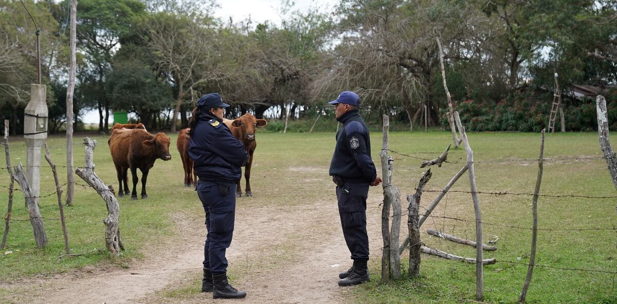 Corrientes. Uno de los domicilios allanados en las últimas horas (Clarín).