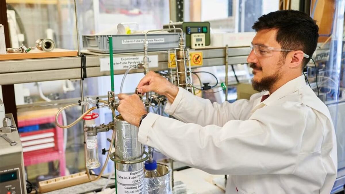 No tires más la yerba: el truco de la maceta biodegradable con un chorrito de vinagre que revoluciona el jardín