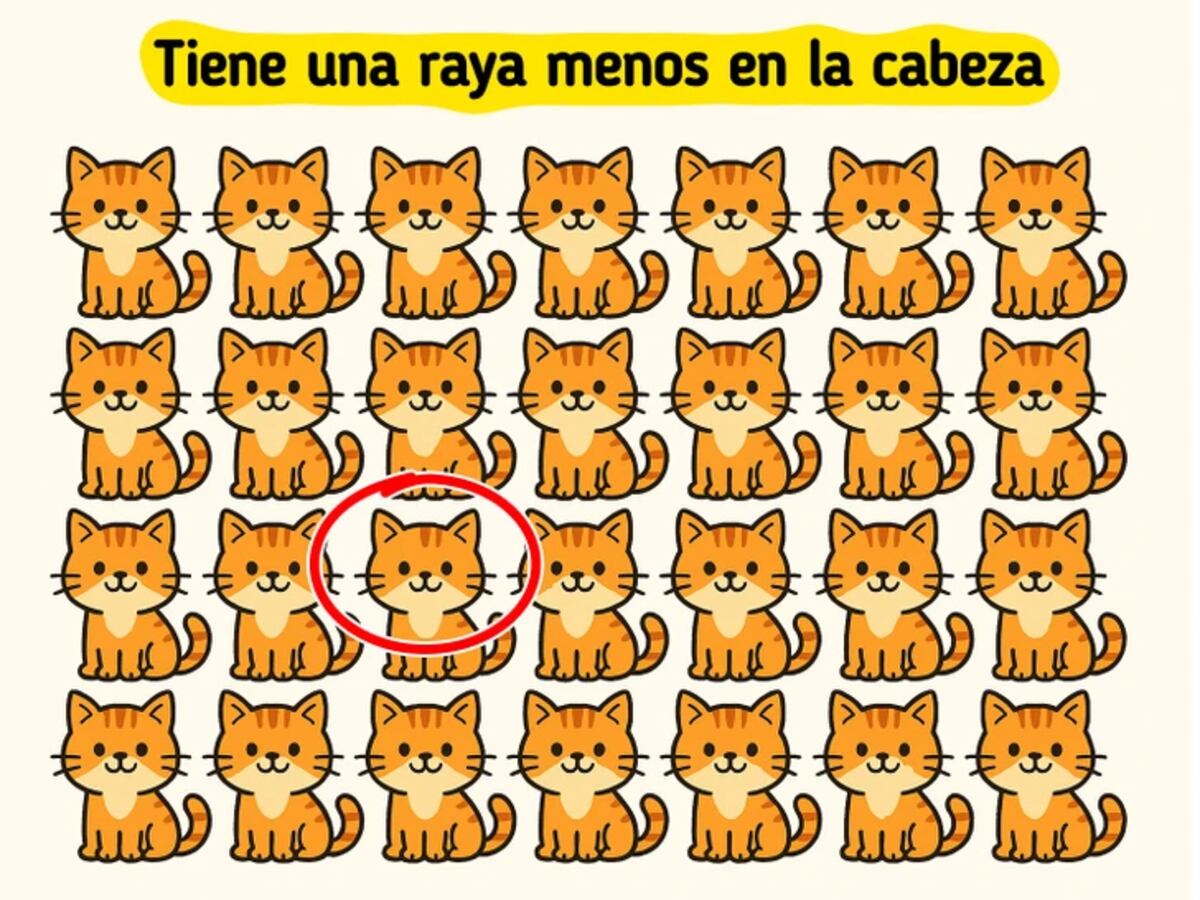 La solución del reto visual.