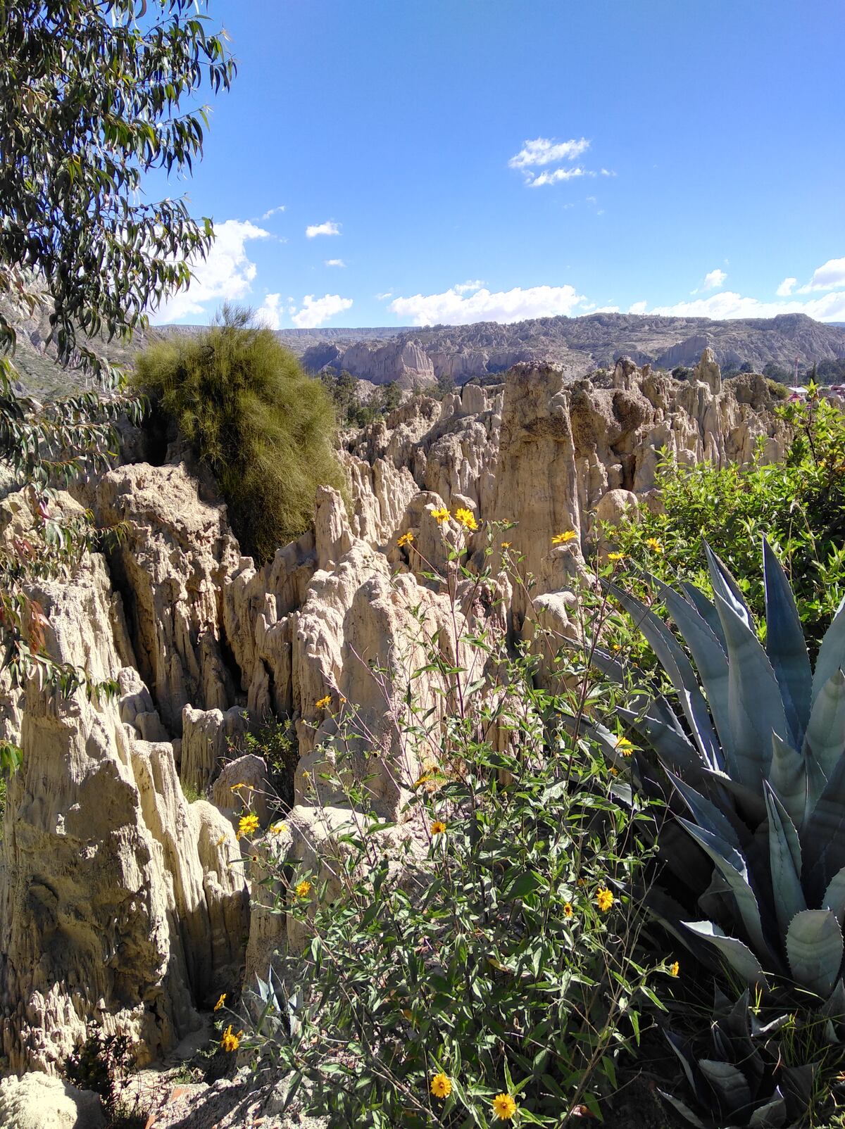 El ambiente sereno del lugar invita a la reflexión y la conexión con la naturaleza. (Foto: Andrea Molina)