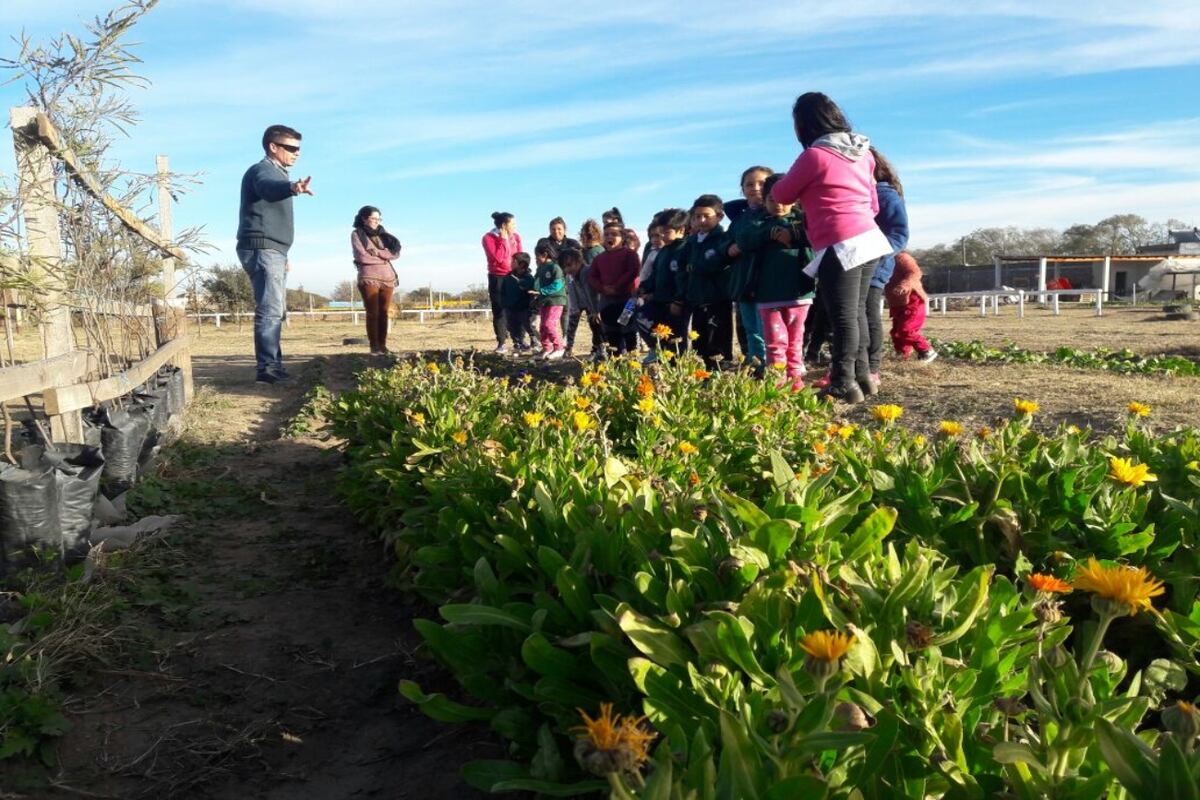 Se puede visitar el parque todo el año. (Foto: gentileza Municipalidad de Estación Juárez Celman )