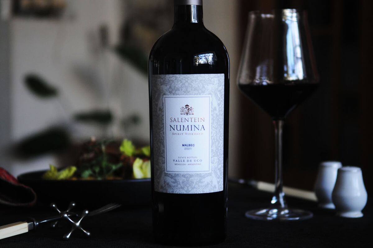 12 vinos para regalar en el Día del Padre. (Javier Ferreyra / LVI)