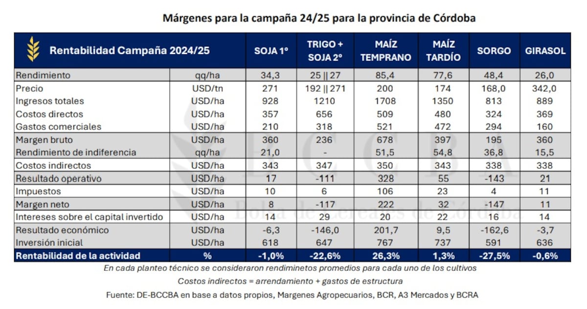 Márgenes para la campaña 24/25.
