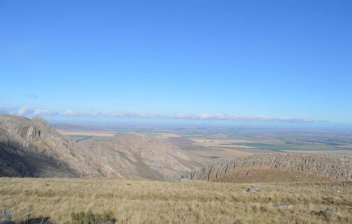 El cerro Tres Picos está rodeado de animales y campos silvestres. (Foto: Maira Revollo)