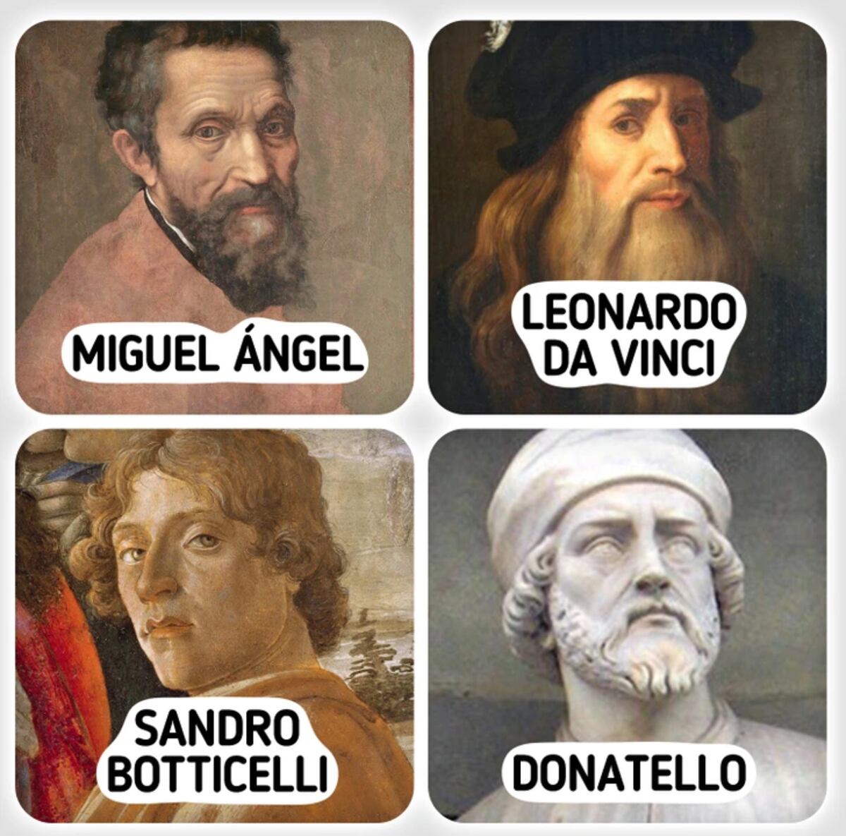 El acertijo visual.