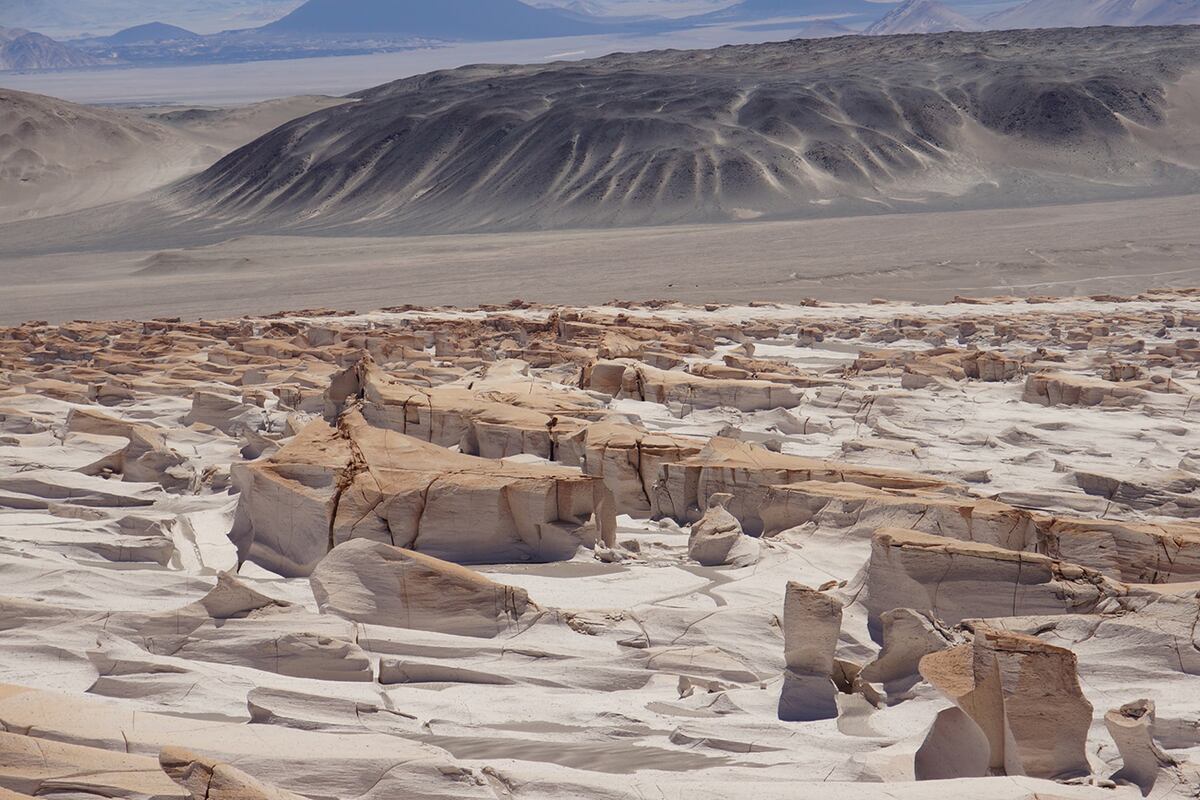 Campo de Piedra Pómez. Uno de los paisajes lunares que ofrece Catamarca. (Gentileza: La Ruta Natural)