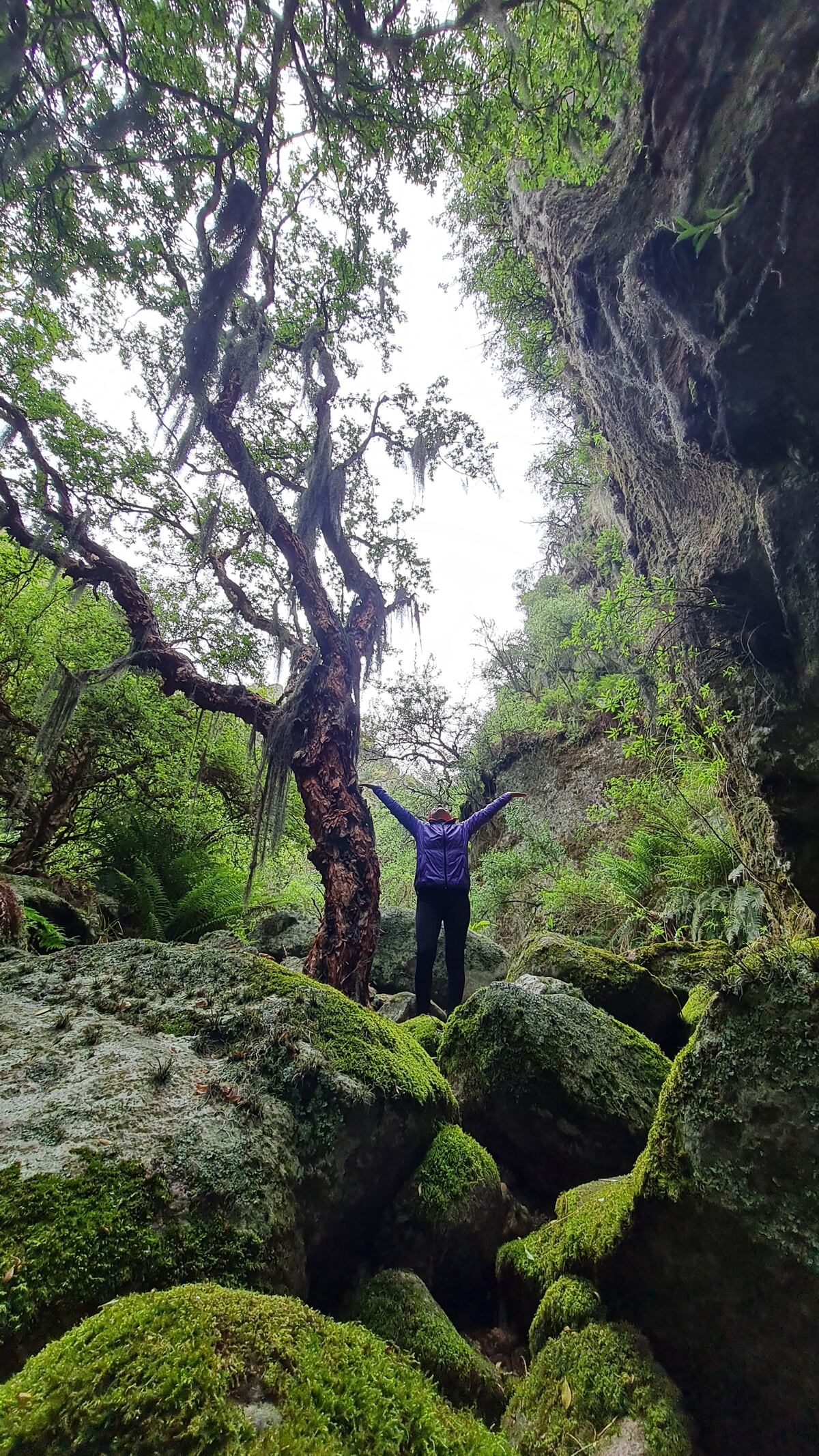 La Quebrada del Tabaquillo es uno de los secretos que tiene la geografía de Los Gigantes.