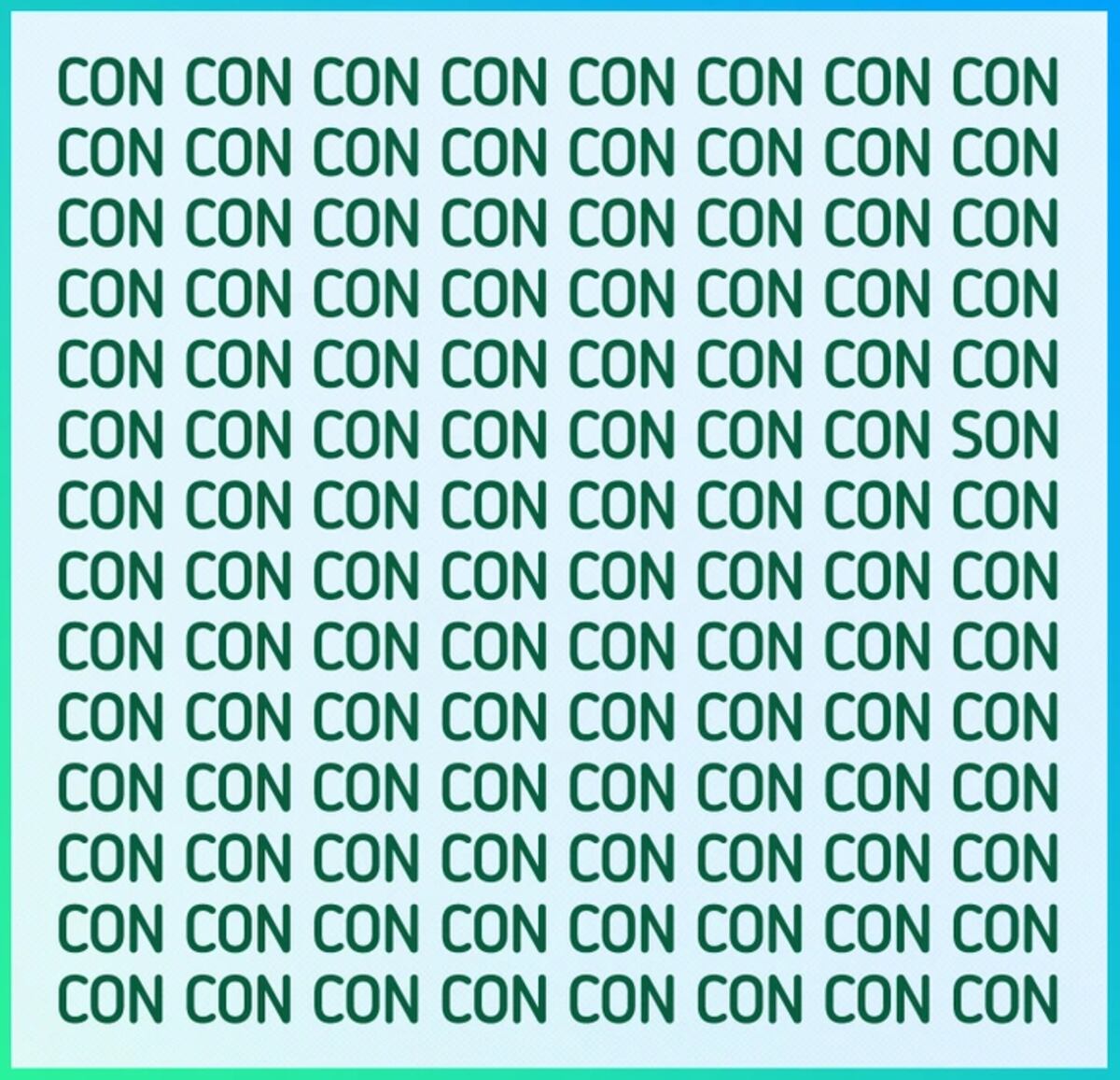 El acertijo visual.
