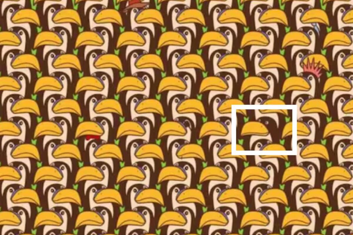 Acertijo visual - Solución