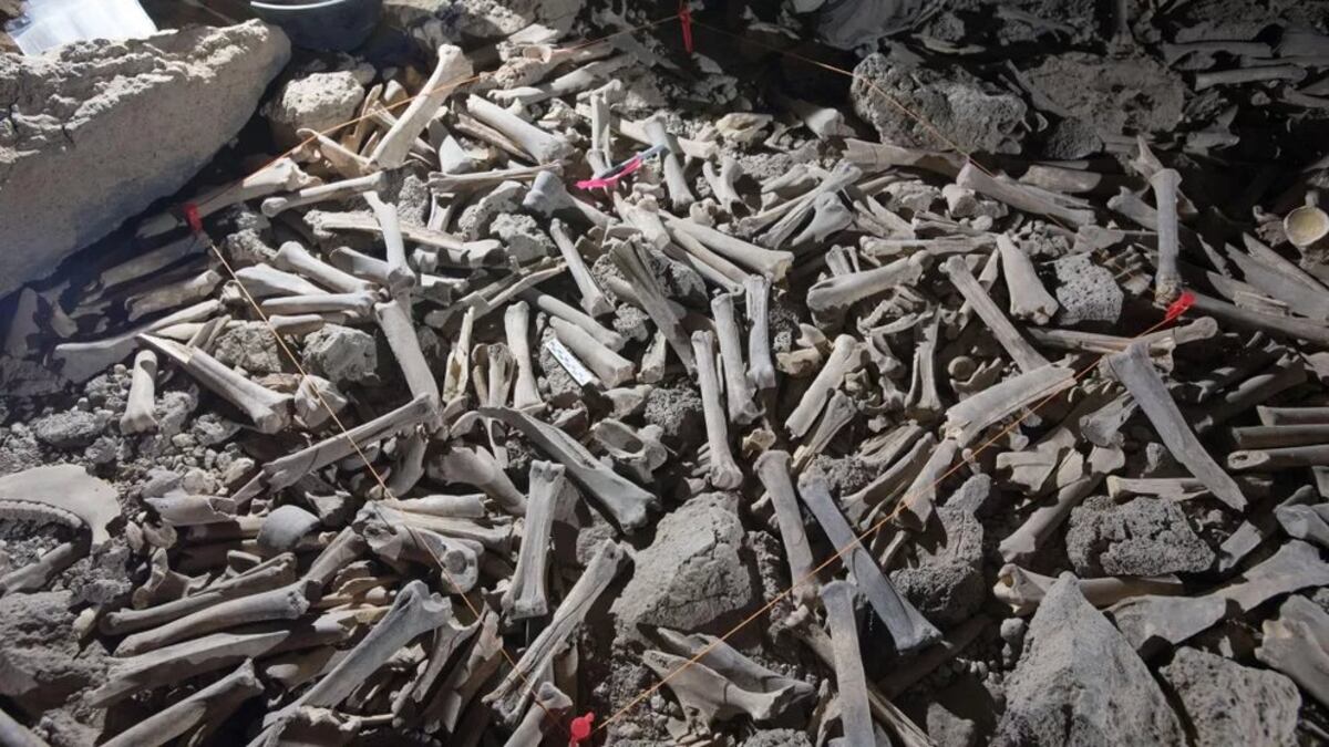 Miles de huesos de animales y de cuerpos humanos se han ido acumulando durante miles de años en la caverna de lava. (Infobae)