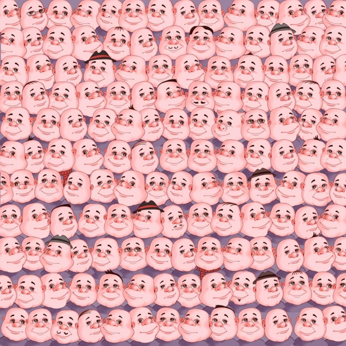 El acertijo visual.