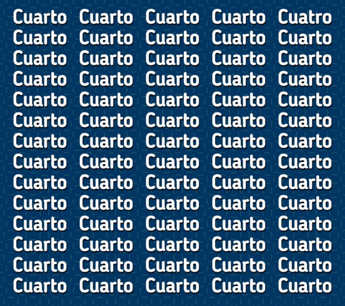 El acertijo visual.