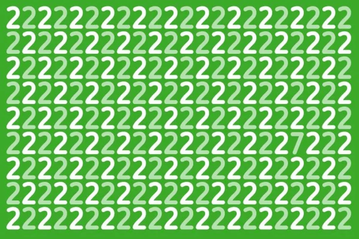 El acertijo visual.