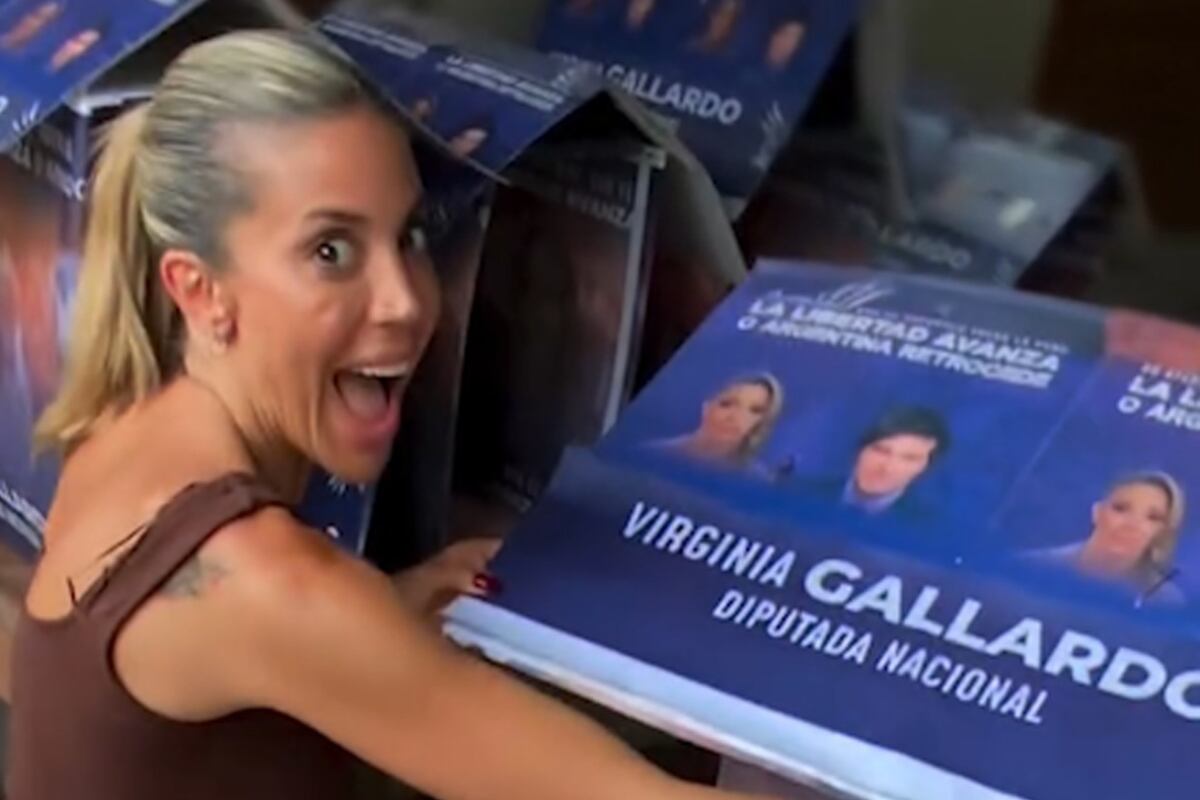 Virginia Gallardo, cuestionada por una acción solidaria con perros callejeros en Corrientes