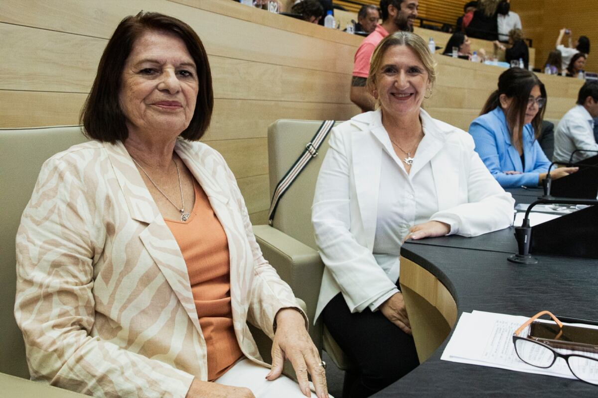 Representantes de cada bloque destacaron la importancia de este día. (Foto: Comunicación Legislatura de Córdoba)