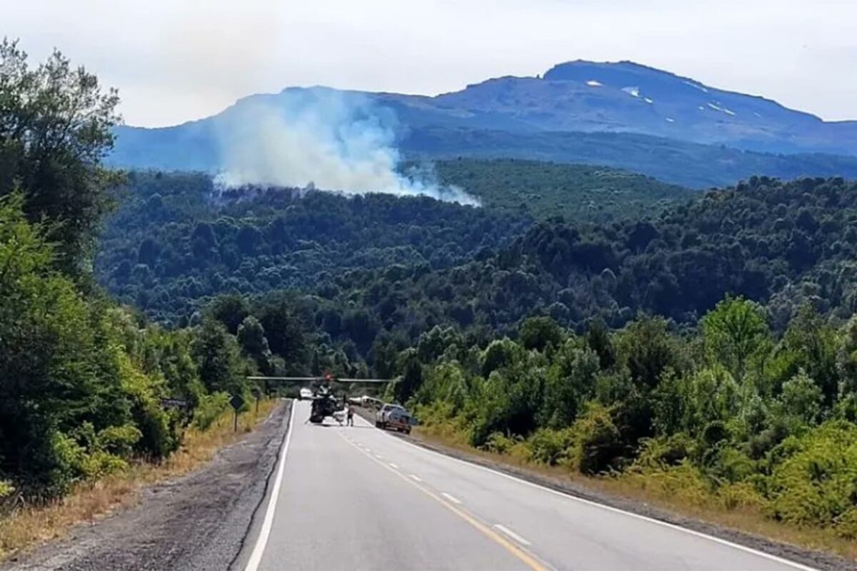 Combaten un incendio en el Parque Nacional Los Alerces.