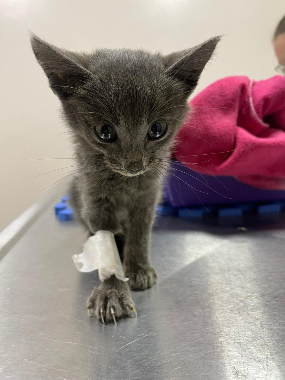 Thor: el bebé de tres meses que necesita de la ayuda de todos