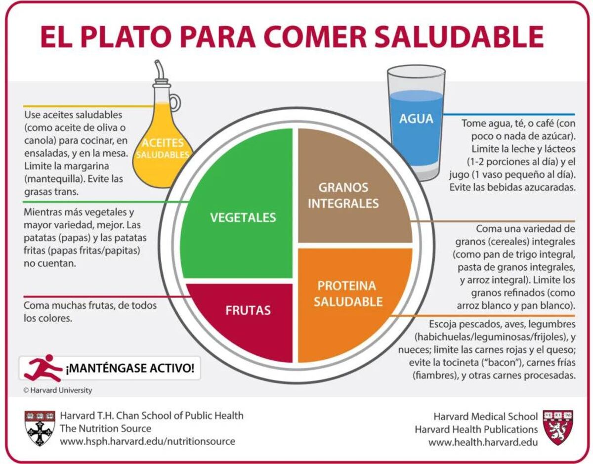El plato para comer saludable, según la Universidad de Harvard.