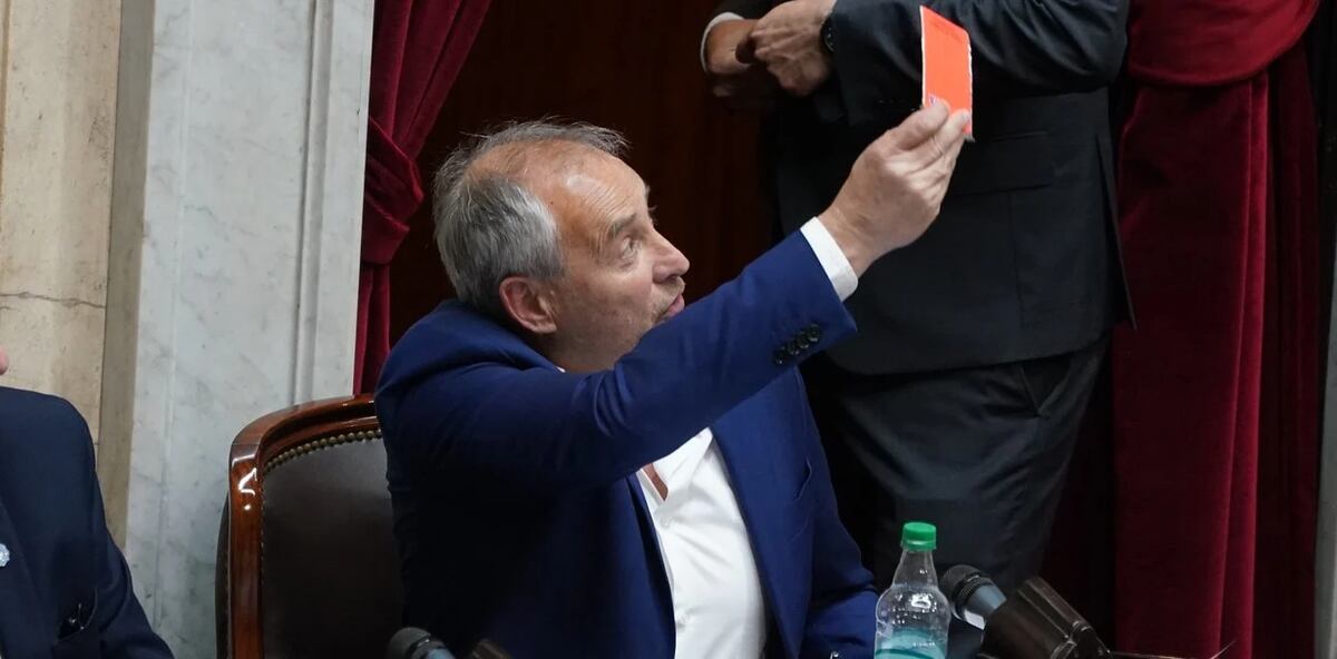 "La Coneja" Baldassi en el Congreso. (La Voz)