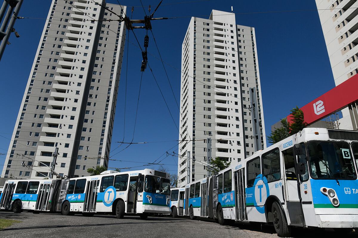 Por fallos en una subestación de la empresa TAMSE que aporta energía a la zona céntrica, las líneas de trolebuses A, B y C son cubiertas por colectivos. (Ramiro Pereyra / La Voz)