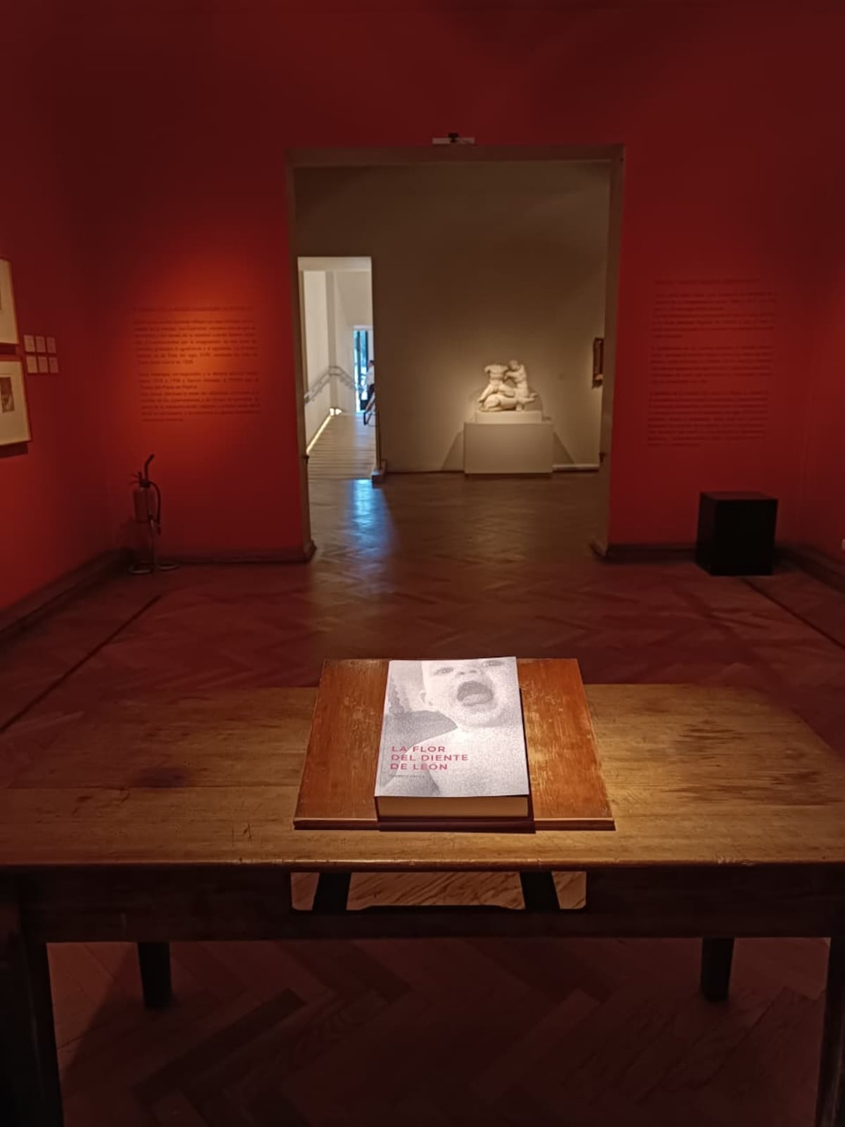 Todo listo para la lectura del libro de Federico Racca en el Museo Nacional de Bellas Artes (Gentileza Federico Racca).