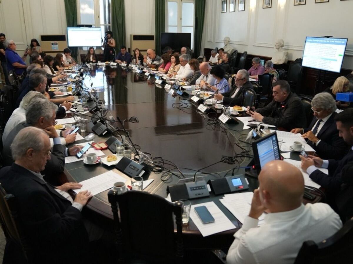 El Consejo superior de la UBA en reunión. (Gentileza)
