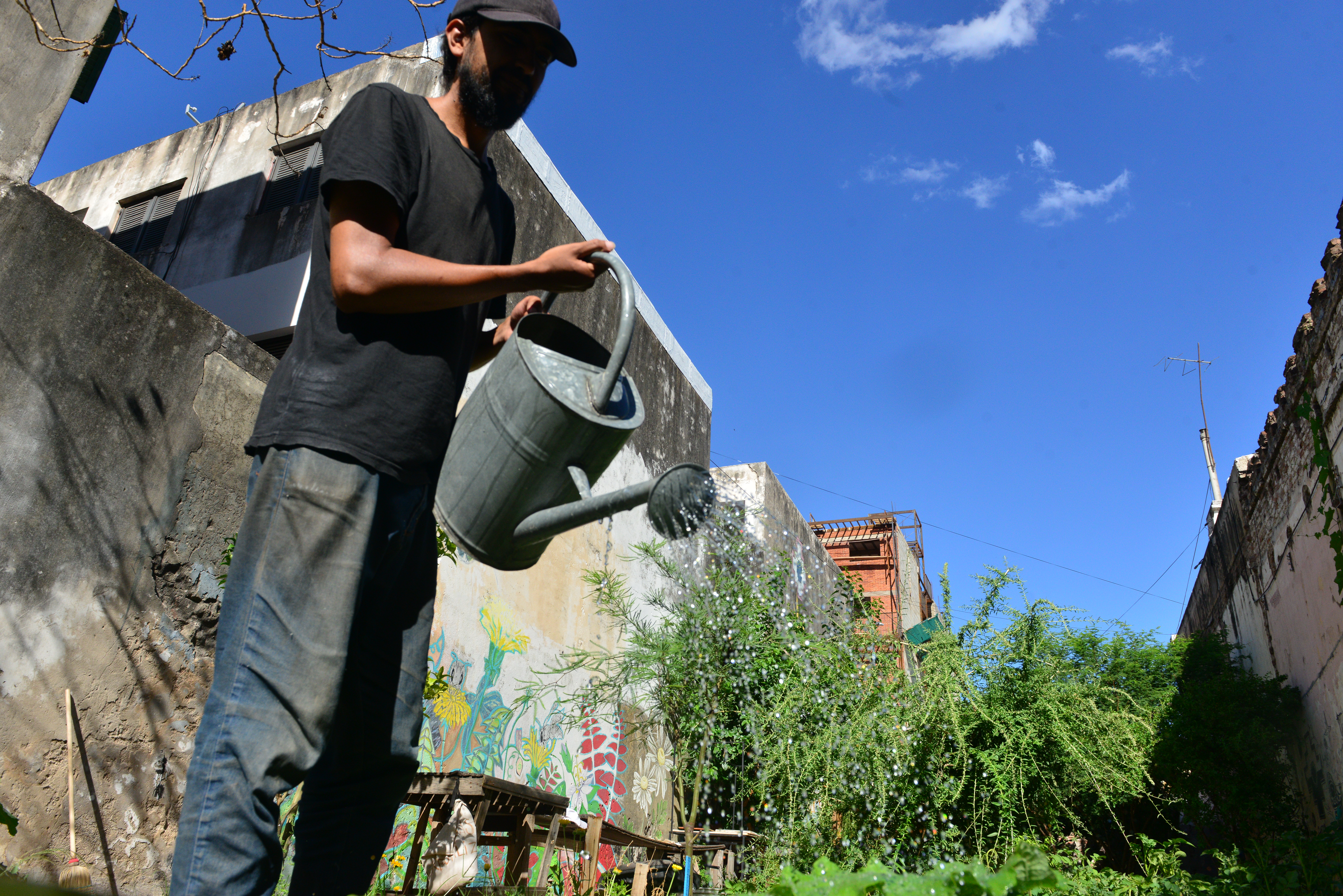“La huerta urbana es una fuente de alimento y de servicio porque brindan espacios verdes, de recreación y de intercambio de saberes. (Javier Ferrerya/ La Voz)