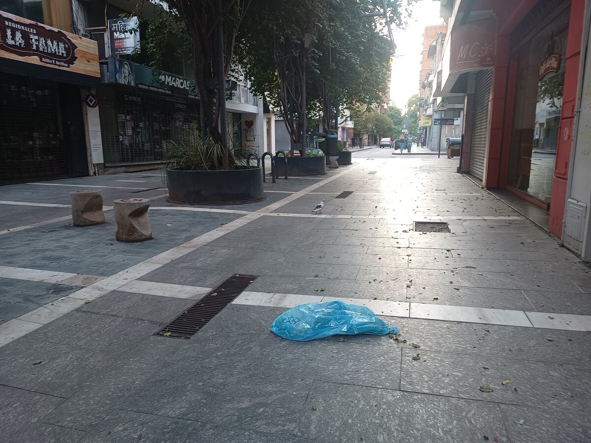Bolsas tiradas en la Peatonal (Diego Marconetti)
