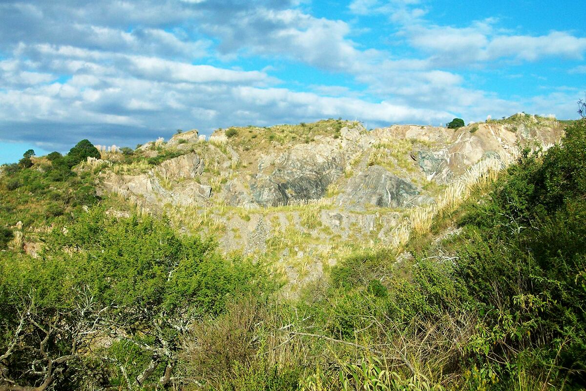 Minería en Córdoba: un viñedo y el paciente regreso del bosque, dos ejemplos de remediación