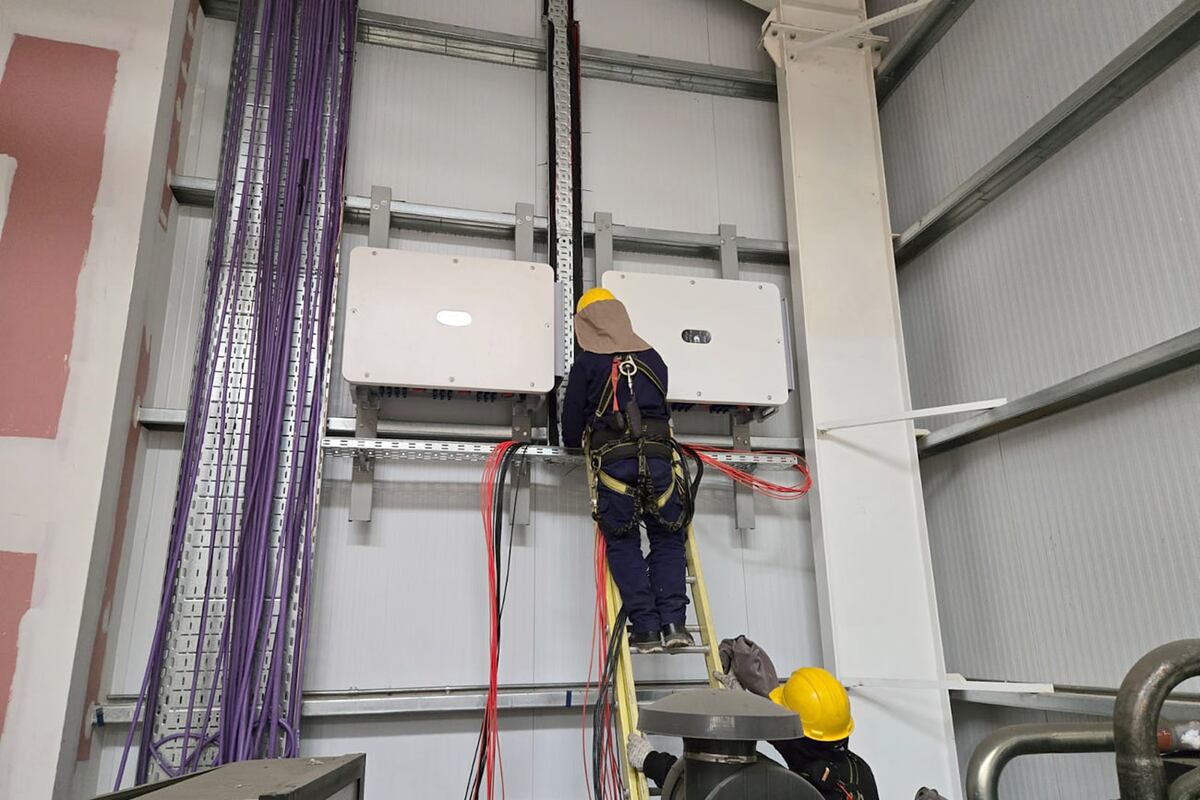 La instalación de Becerra redujo un 60% la demanda eléctrica total del local y sumó infraestructura preparada para futuras cargas de vehículos eléctricos.