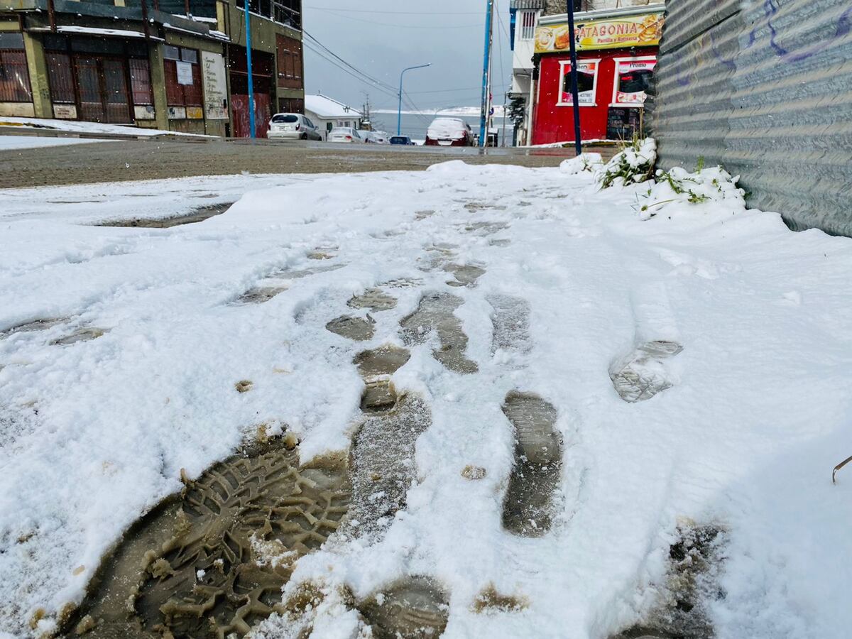 Postales de la última nevada en Ushuaia. (Gentileza Guillermo Worman)