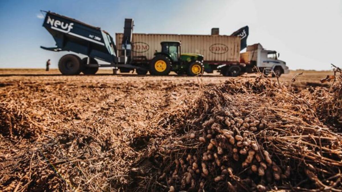 El 75% del planeta consume productos agroindustriales argentinos 